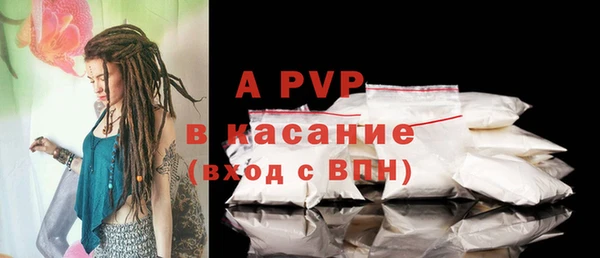 apvp Белокуриха